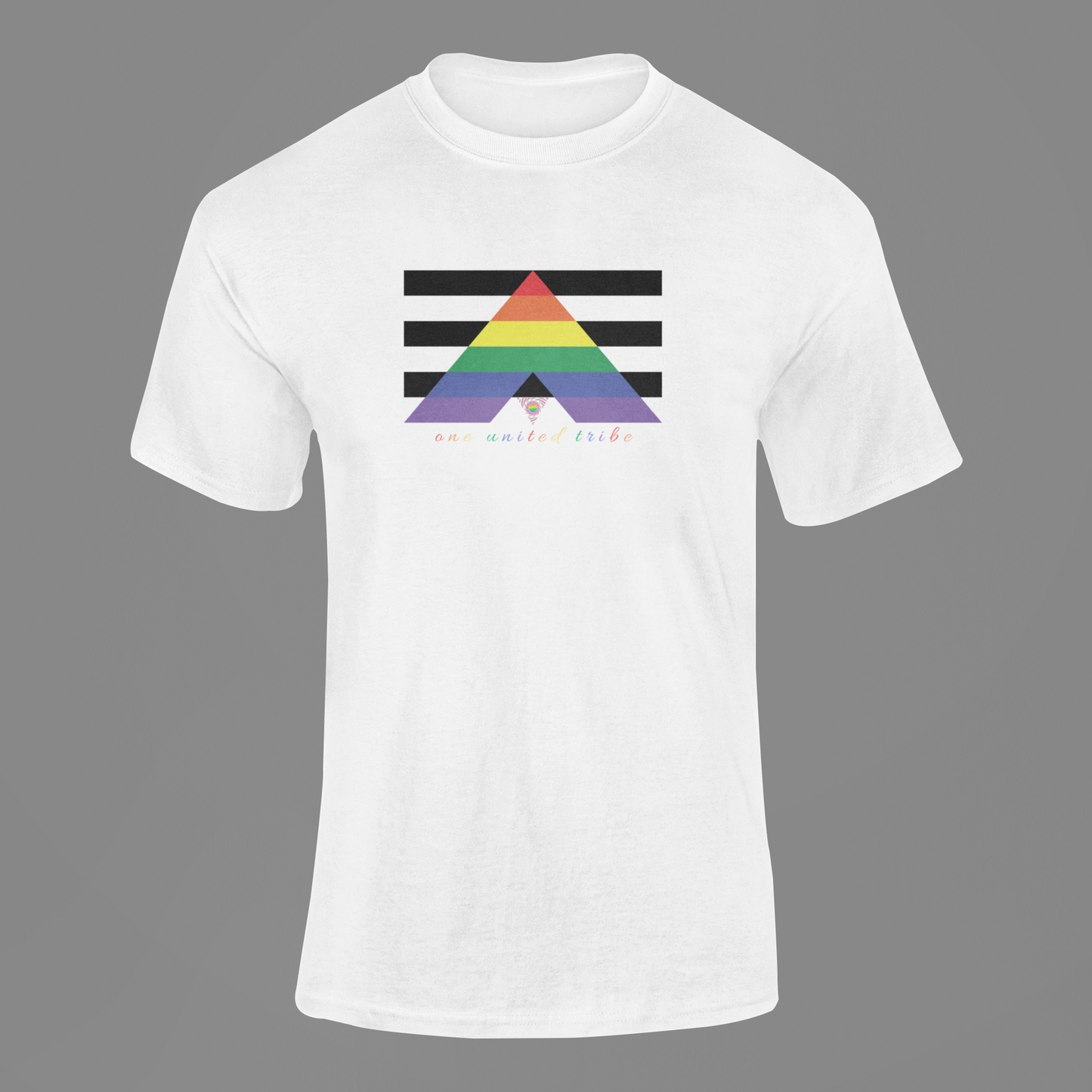 Ally Flag Tee