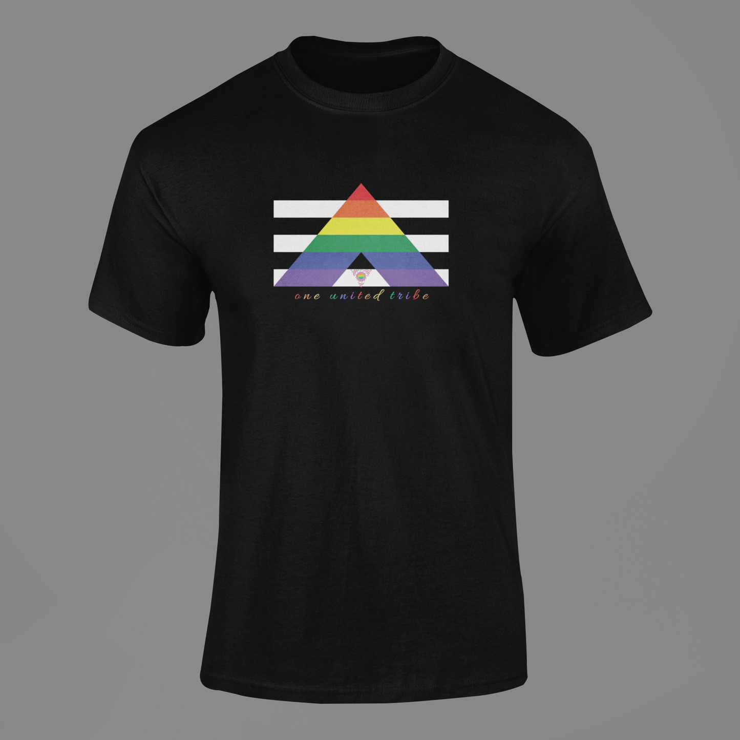 Ally Flag Tee